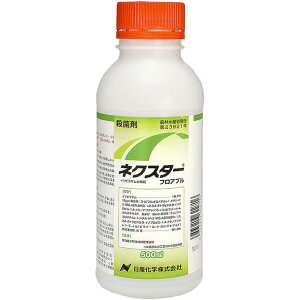 Yw lNX^[tAu a 500ml Eۍ _ ؁EʎpEۍ C\sU  _Ǝ | K[fjO