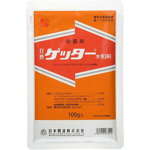 {B Qb^[a 100g Eۍ \h ϐ 󐫋 _  | K[fjO