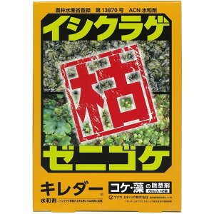 AOJlVE L_[ ACNa 50g×2ܓ  _knp ԐF CVNQ [jSP  _  | K[fjO