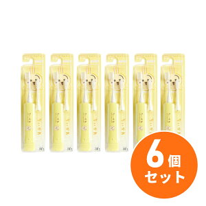 y[֔zy܂Ƃߔz~j} nsJ ×6Zbg 炩 DBC-5YCHUS duV qpuV ywEsz