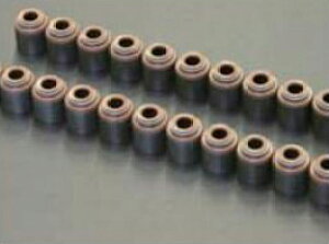 S20 ICV[ FJ20 pouICV[ TLGW[NX