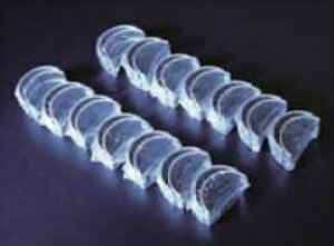 S20 xAO JxAOZbg 1䕪 TLGW[NX