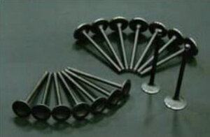 4AG rbNou rbNou 16V INT&EXH Zbg TLGW[NX