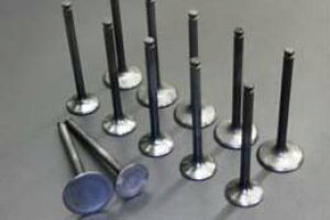 L24 L26 X^_[hou 1䕪 TLGW[NX