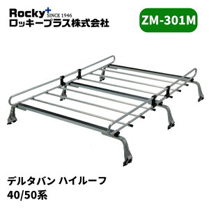 �f���^�o�� ���[�t�L�����A 40�n 50�n �n�C���[�t ZM�V���[�Y ROCKY/���b�L�[ (ZM-301M