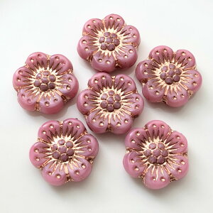 `FR r[Y fUC t[ yR[sNz14mm 6 t[ All  sAX CO uXbg p[c nhCh ޗ f