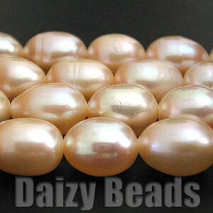 yLO1ʎ܁zyVR΃r[YzyWp[(VR) s[`z CO[h CX^ 6-7mm (TCY\͌ł) 1A(36-38cm)