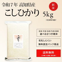 楽天市場】高知県産 コシヒカリ 5kg（米・雑穀｜食品）の通販
