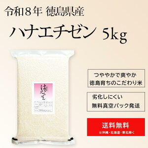 �V�� �ߘa8�N �����Y �n�i�G�`�[�� 5kg ���� �^��p�b�N �����ۑ� ���~