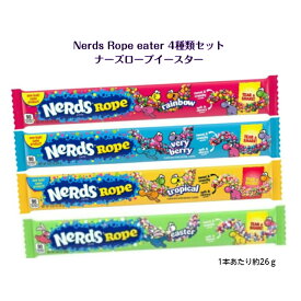 Nerds Rope 4本 (4種類) セットrainbow+ verybery + tropical + easter or spooky or holiday or valentineナーズ ロープグミ 1本あたり各26gASMR SNS youtube TikTok インスタ マシッソ 韓国モッパン 韓国お菓子 海外 海外お菓子 送料無料