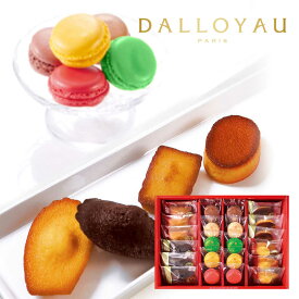 ダロワイヨ マカロンドゥミセック詰め合わせ（大）【送料無料】お歳暮 退職 転職 異動 マカロン 焼き菓子 フィナンシェ マドレーヌ スイーツ 洋菓子 プレゼント ギフト 贈り物 個包装 挨拶 御礼 御祝 誕生日 内祝 出産 ビジネス 志 お取り寄せ 差し入れ 手土産 人気