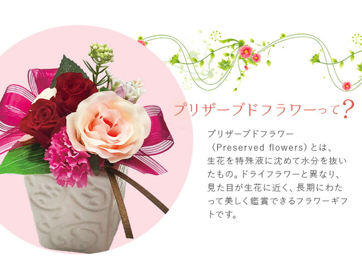 楽天市場 ダロワイヨ 季節のマカロン入り詰め合わせ 9個入 プリザーブドフラワー 送料無料 エントリーでお買いものパンダ抽選 母の日 22 プリザーブドフラワー プレゼント ギフト 贈り物 スイーツ マカロン 洋菓子 焼き菓子 お菓子 花 お取り寄せ 人気