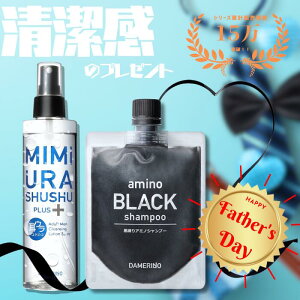 y ̓ MtgZbg wAPA + jICPA z ̓Mtg Vv[ Mtg EVbVvX{ A~m ubNVv[ Zbg Y  mVRVv[ 