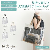クリアバッグ 大容量 推し活 痛バッグ うちわ収納 40×40×13cm トートバッグ 透明バッグ ツアーバッグ …