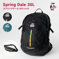 楽天市場】チャムス リュック スプリングデール30の通販