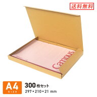 ネコポス・クリックポスト用ダンボール（ケース）A4（N式） 厚さ2.5cm 297×210×深さ21mm 300枚セット