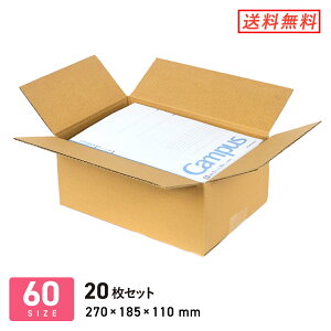 �_���{�[�� �i�{�[���� B5�T�C�Y��z60�T�C�Y 270×185×�[��110mm 20���Z�b�g