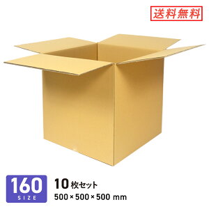 _{[ i{[ z160TCYEMSiۃXs[hXցj 500×500×[500mm 10Zbg