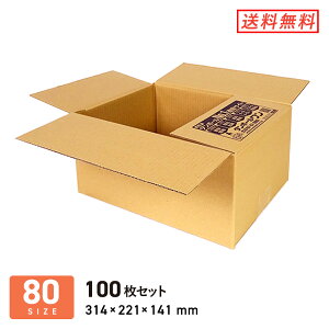 _{[ i{[ L80TCY 314×221×[141mm 100Zbg