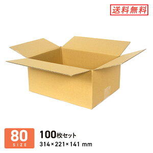 _{[ i{[ z80TCY 314×221×[141mm 100Zbg