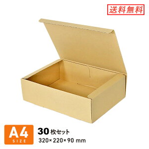 �t���[�{�b�N�X�i���A4�E�[��9cm�j 30���Z�b�g