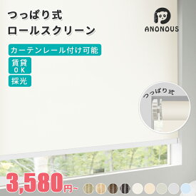 23日限定【6枚のみ！17％OFFクーポン】つっぱり ロールスクリーン 採光 非遮光 オーダー ロールカーテン 間仕切り 目隠し めかくし 押入れ 突っ張り 賃貸OK オーダーロールスクリーン レース カーテンレール 取り付け 簡単 無地 柄 北欧 ナチュラル 全9色