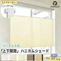 楽天市場】ハニカムシェード つっぱり コードレスの通販