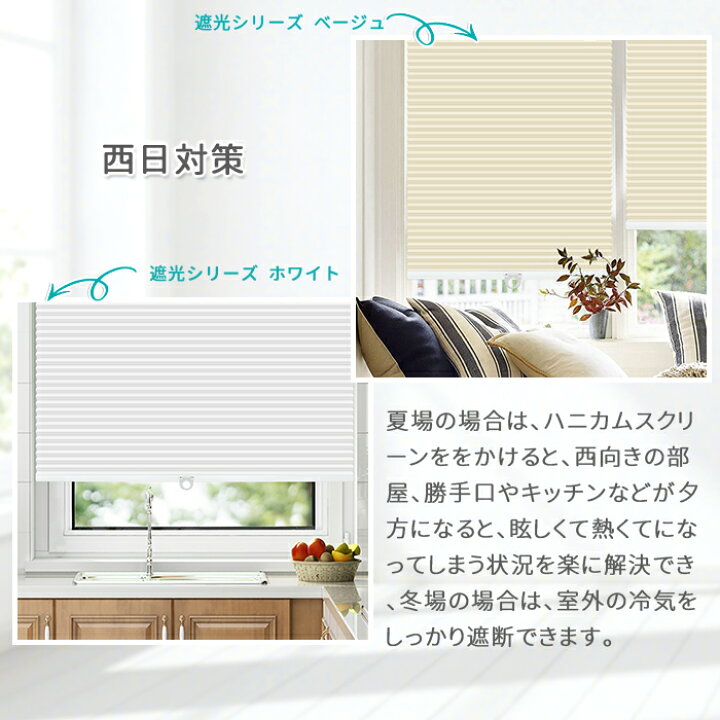 楽天市場】【毎日20:00～限定25%OFFクーポン】つっぱり ハニカム 