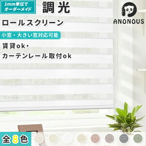 yX[p[SALE撅25OFF+P5zς [XN[  Ռ ̌ [J[e [XN[ ˂莮 sv  TCYI[_[ J[e[ t 