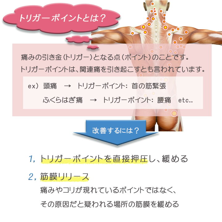 楽天市場 トリガーポイント マッサージボール Zca Tball ラクロスボール 筋膜リリース ストレッチ コリ セルフケア ダンスシューズのダンスネッツ