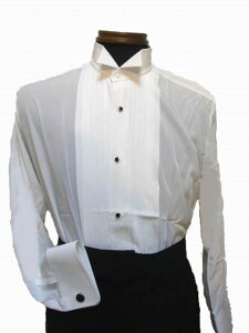 yNewzgL ECOJ[q_Vc No.502  Ќ_Xߑ p[eB[  f   X^CbV  ECO J[ Vc {^ޕʔ ^LV[h̃Ci[