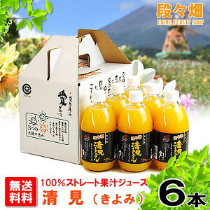 �y���������z�i�X��100% ����(�����)�W���[�X 6�{����/�݂���/����/�I�����W/���k/�ʕ�/�t���[�c/�M�t�g/������/������/�O����/�Y�n����