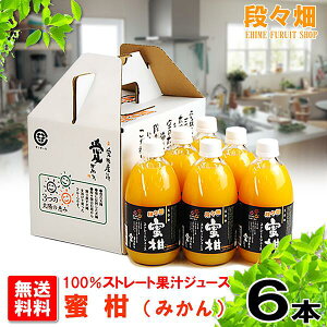 yziX100% (݂)W[X 6{/݂//IW/k/ʕ/t[c/Mtg///O/Yn