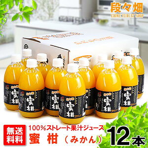 yziX100% (݂)W[X 12{/݂//IW/k/ʕ/t[c/Mtg///O/Yn