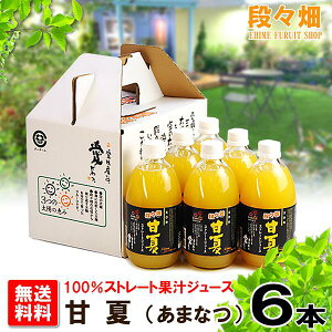 yziX100% É(܂Ȃ)W[X 6{/݂//IW/k/ʕ/t[c/Mtg///O/Yn