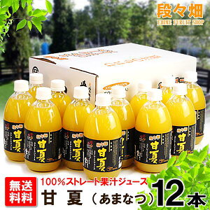 yziX100% É(܂Ȃ)W[X 12{/݂//IW/k/ʕ/t[c/Mtg///O/Yn