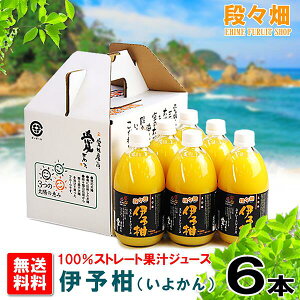 yziX100% ɗ\(悩)W[X 6{/݂//IW/k/ʕ/t[c/Mtg///O/Yn