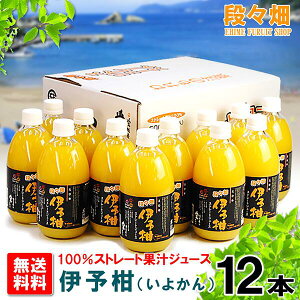 yziX100% ɗ\(悩)W[X 12{/݂//IW/k/ʕ/t[c/Mtg///O/Yn