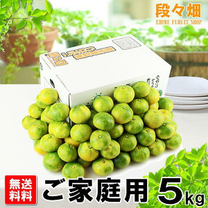 10月上旬より出荷【送料無料】愛媛県産 極早生みかん ご家庭用 5kg/みかん/蜜柑/オレンジ/柑橘/果物/フルーツ/お取り寄せ/グルメ/産地応援