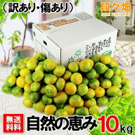 【予約商品・指定日不可】10月上旬より出荷【送料無料】愛媛県産 極早生みかん 自然の恵み 10kg(訳あり/…