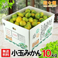 【予約商品・指定日不可】10月上旬より出荷【送料無料】愛媛県産 極早生みかん 小玉 10kg/みかん/蜜柑/オ…