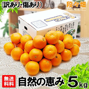 \񏤕iEwsyzQY Q܂ǂ Řb 5kg (󂠂//s)/݂//IW/k/ʕ/t[c//O/Yn