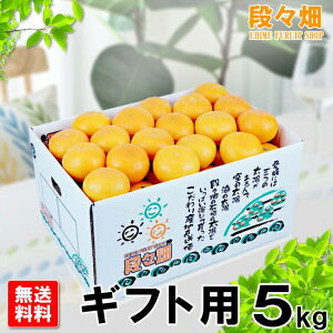 \񏤕iEwsyzQY Q݂ Mtgp 5kg/݂//IW/k/ʕ/t[c//O/Yn