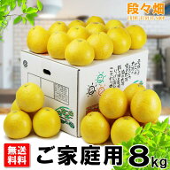 ＊最終販売＊【送料無料】愛媛県産 ジューシーオレンジ ご家庭用 8kg/河内晩柑と同一品種/和製グレープフ…