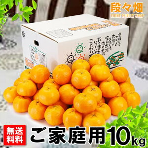 \񏤕iEwsyzQY |J ƒp 10kg/݂//IW/k/ʕ/t[c//O/Yn