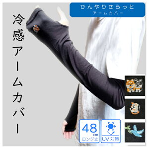 A[Jo[ UV Jbg ⊴ O Lk 48cm Ђ fB[X  h? 킢 Č L   UV΍ UVPA   K  [΍ ₦h~ ʋ ʊw s AEg