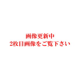 ボンルパ　京シリーズ　白身魚のびっつ　40g(無添加)(犬用おやつ)