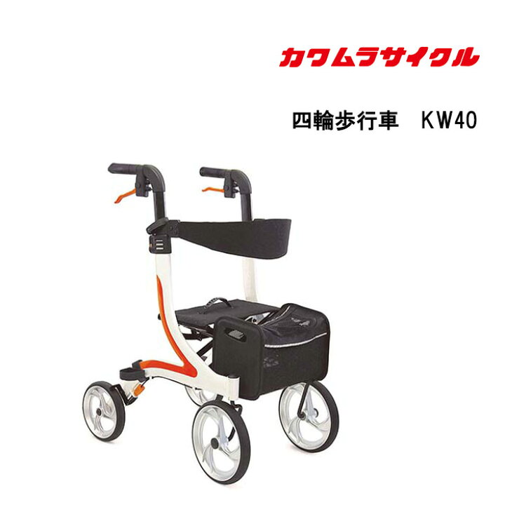 楽天市場】当店限定エントリーでポイント11倍+100円OFFクーポン 