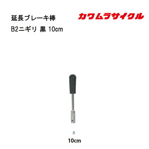 Ԃp u[L_B2jM  10cm Ԃ Ԉ֎q ԃCX JTCN Kʔ̑㗝X Ԃi