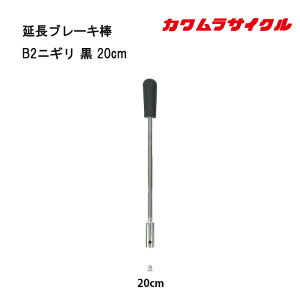 Ԃp u[L_B2jM  10cm Ԃ Ԉ֎q ԃCX JTCN Kʔ̑㗝X Ԃi